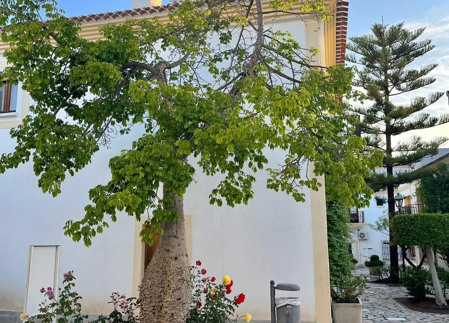 Apartamento Costa Azul Vera Playas de Vera